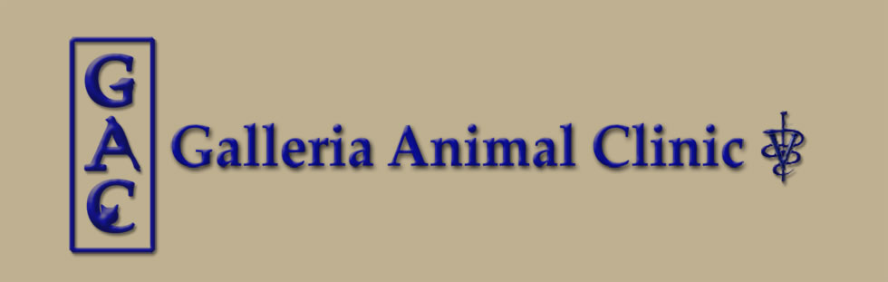 Galleria Animal Clinic